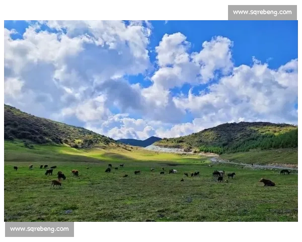 巫溪红池坝云端冲锋！永康式热血招募点燃山城激情